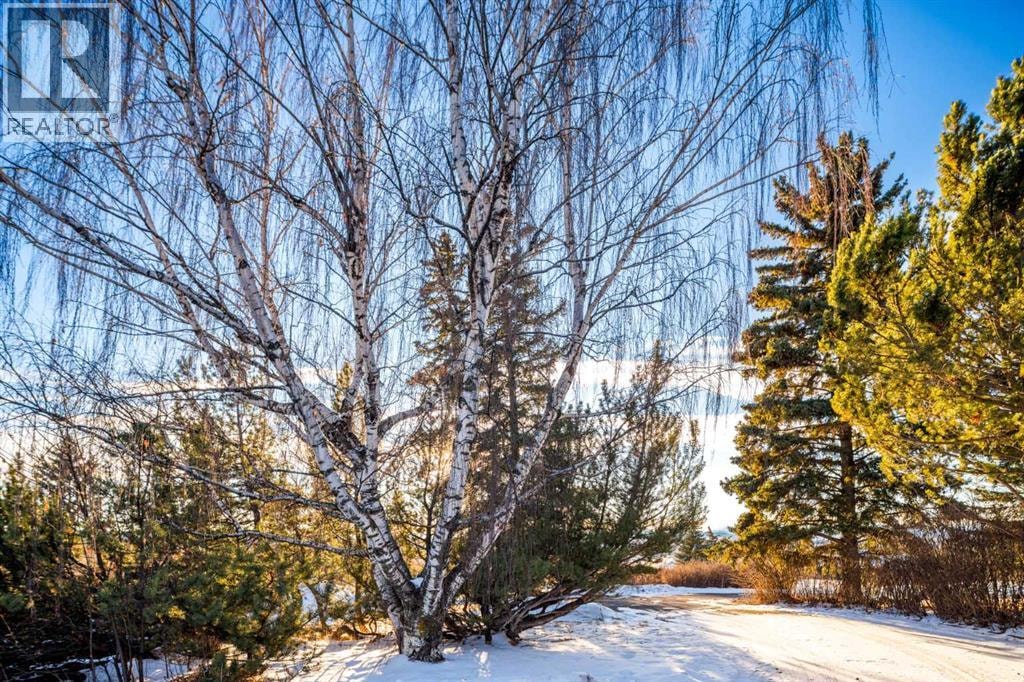 187 Slopeview Drive SW — photo 35