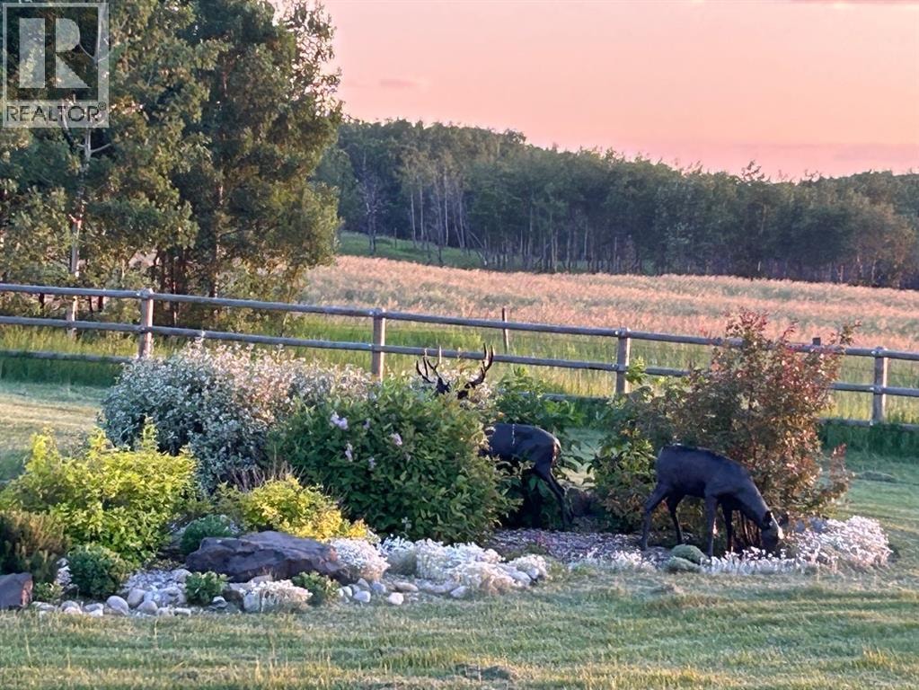 7 Kodiak Springs Cove — photo 45