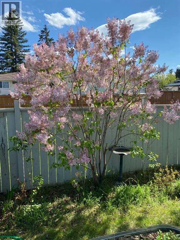 1019 Lysander Drive SE — photo 37