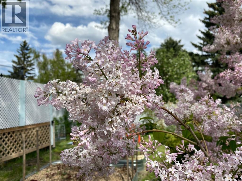 1019 Lysander Drive SE — photo 40