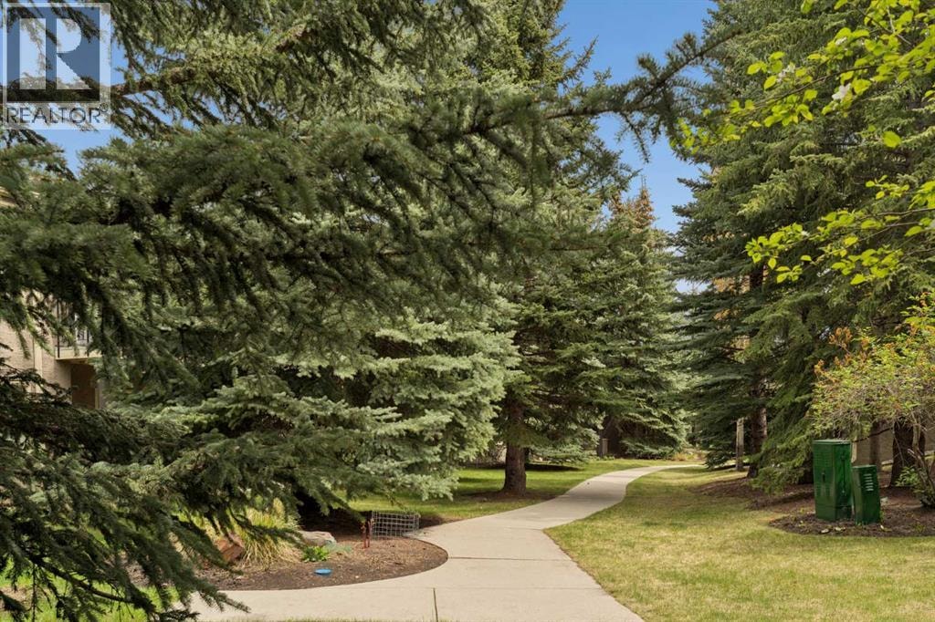 206 Paliswood Park SW — photo 32