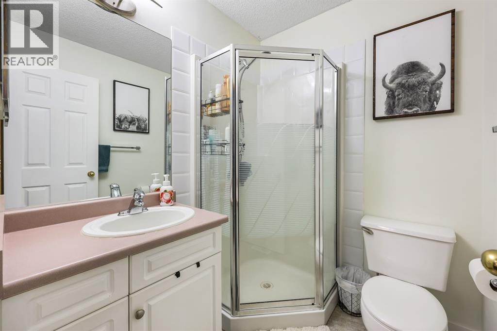 10 Big Springs Hill SE — photo 19