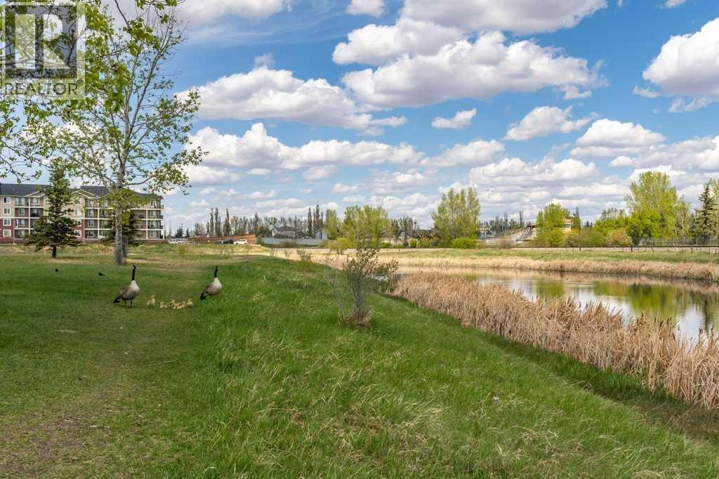 202 Willowbrook Close NW — photo 36