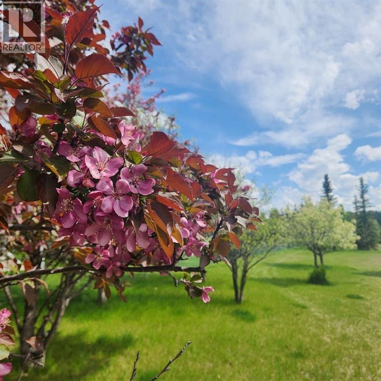 260048 Bearspaw Road — photo 36