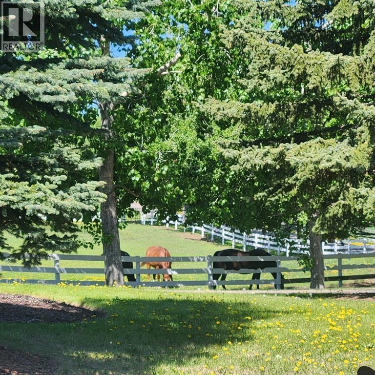 260048 Bearspaw Road — photo 40