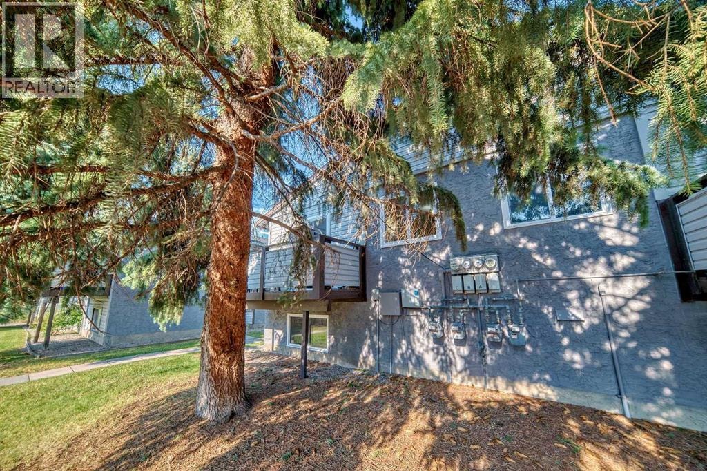 C, 109 Stanley Avenue — photo 30