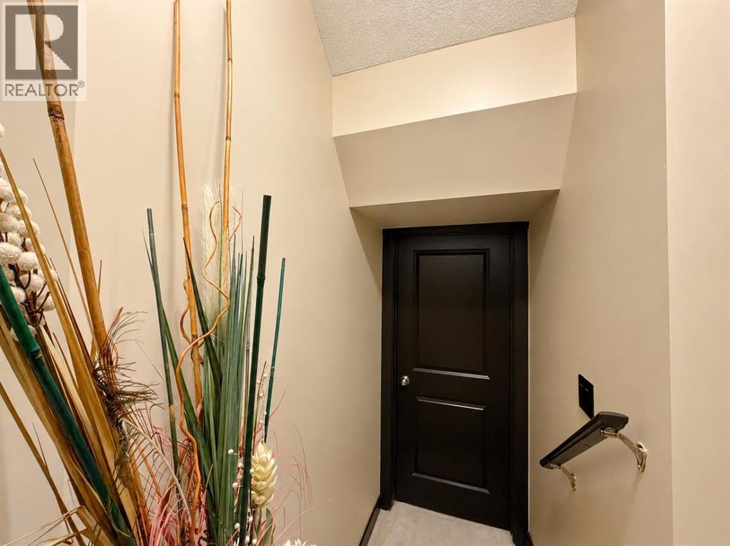 288 RAINBOW FALLS Drive — photo 24