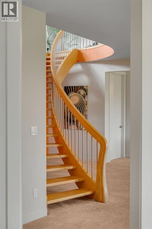 30124 Bunny Hollow Drive — photo 28