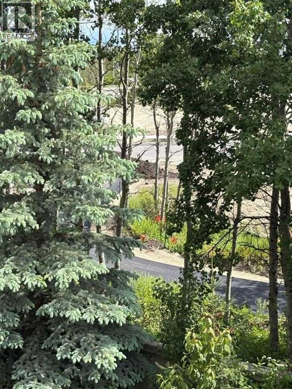 55 Wentworth Manor SW — photo 46