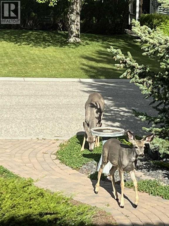 240 Varsity Estates Terrace NW — photo 42