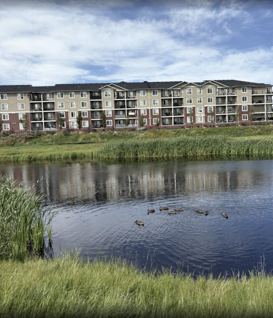 screen shot 2025 11 14 at 4.23.22 pm